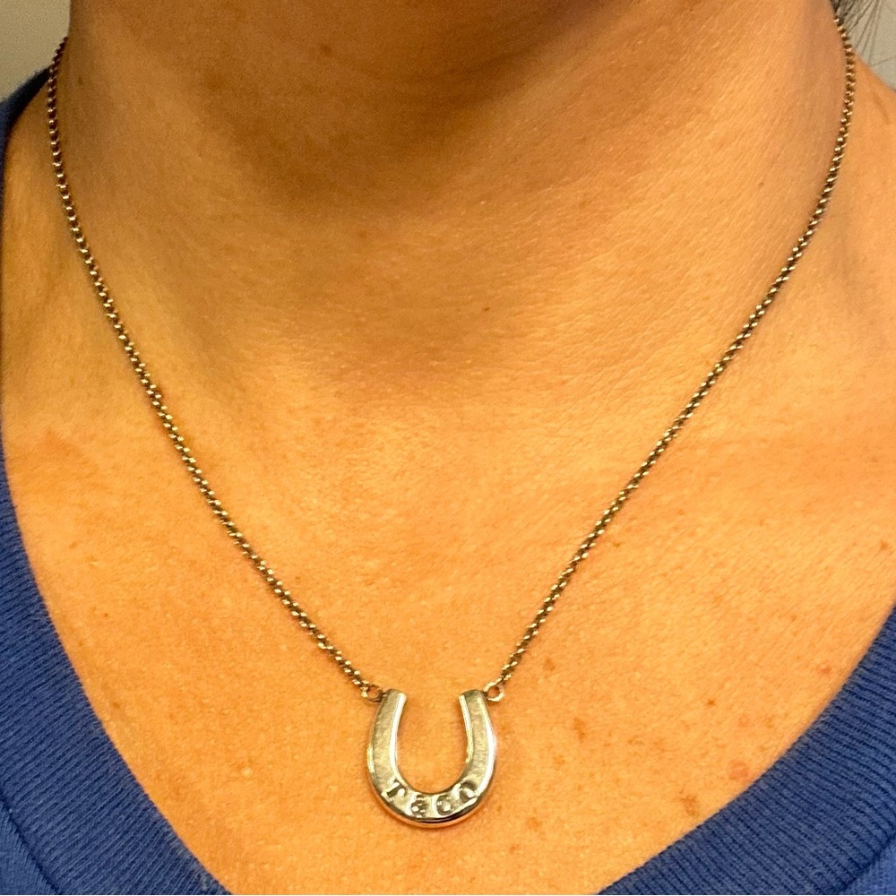 Tiffany & Co. Silver Horseshoe Necklace - Picture 3 of 6